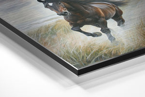 Galloping Wild Horse