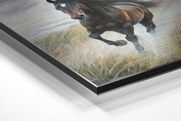 Galloping Wild Horse