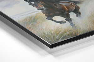 Galloping Wild Horse