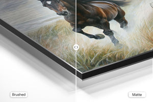 Galloping Wild Horse