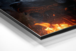 Black Labrador in Rain