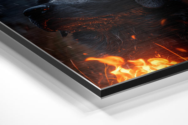 Black Labrador in Rain