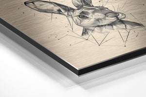 Geometric Rabbit Sketch