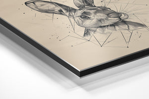 Geometric Rabbit Sketch