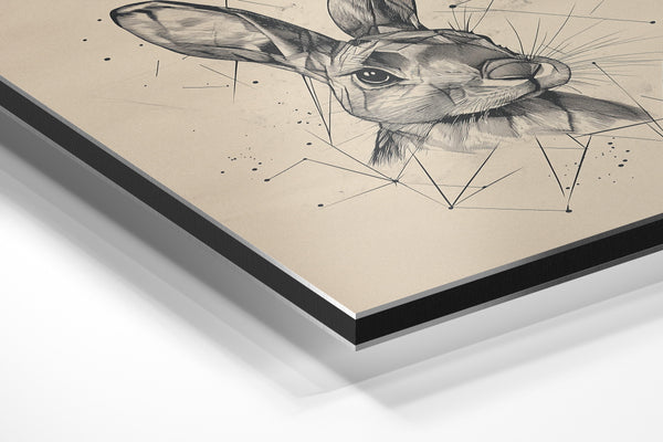 Geometric Rabbit Sketch