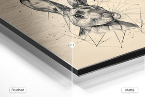 Geometric Rabbit Sketch