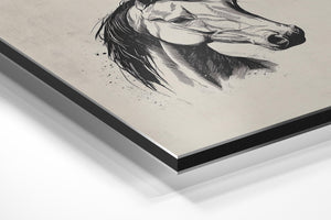 Elegant Horse Portrait