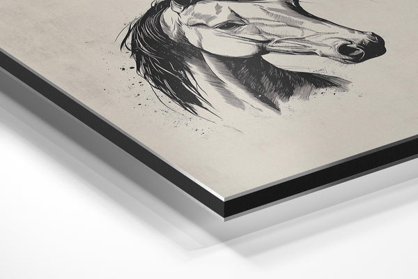 Elegant Horse Portrait