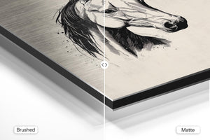 Elegant Horse Portrait