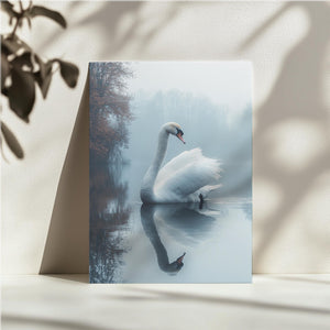 Misty Swan on Lake