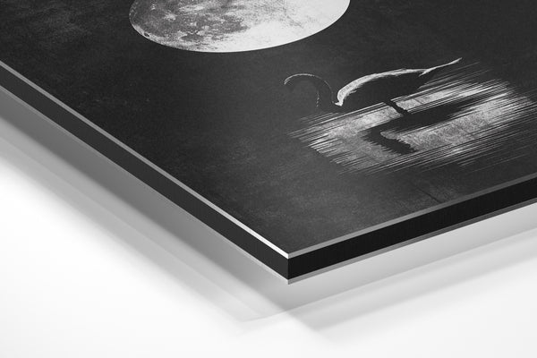 Moonlit Swan Silhouette