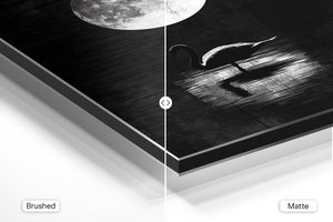 Moonlit Swan Silhouette