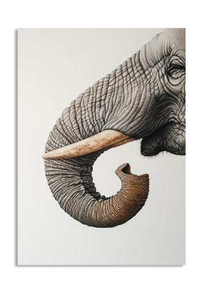 Illustration of an elephant's head on a white background, as a premium aluminum metal print from GoMetalPrint.
