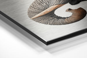 Majestic Elephant Portrait