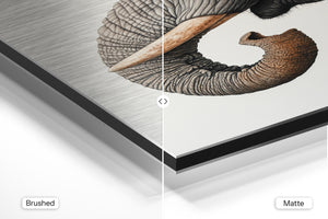 Majestic Elephant Portrait