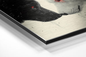 Black and White Wolves