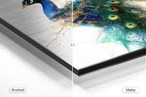 Majestic Peacock Art