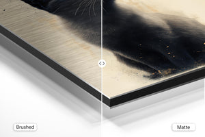 Black Cat Artistic Glow