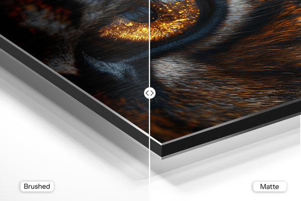 Tiger Eye Reflection