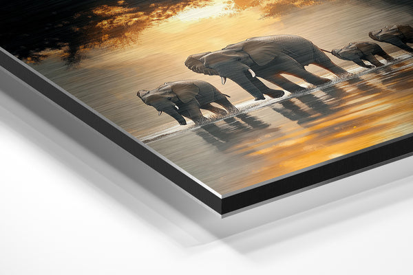 Elephant Herd Sunset