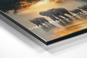 Elephant Herd Sunset