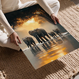 Elephant Herd Sunset