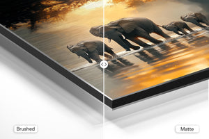 Elephant Herd Sunset