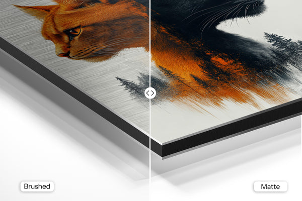 Dual-Tone Feline Contrast