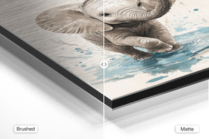 Playful Baby Elephant