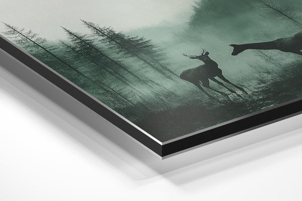 Deer in Misty Valley