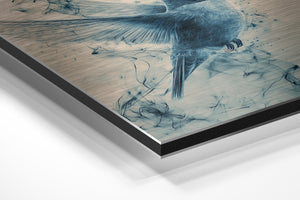 Ethereal Hummingbird Flight