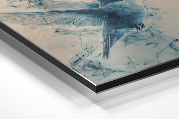 Ethereal Hummingbird Flight