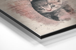 Kitten and Elephant Bond