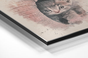 Kitten and Elephant Bond