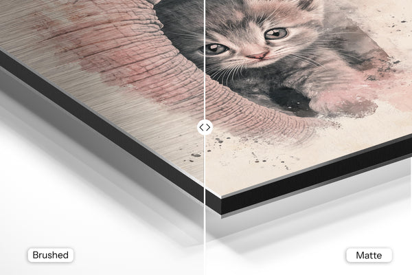 Kitten and Elephant Bond