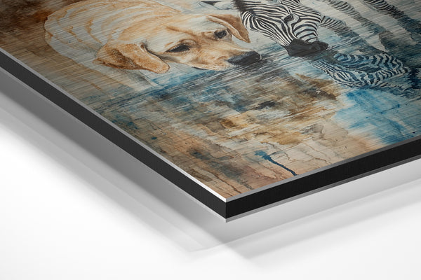 Labrador and Zebra at Water