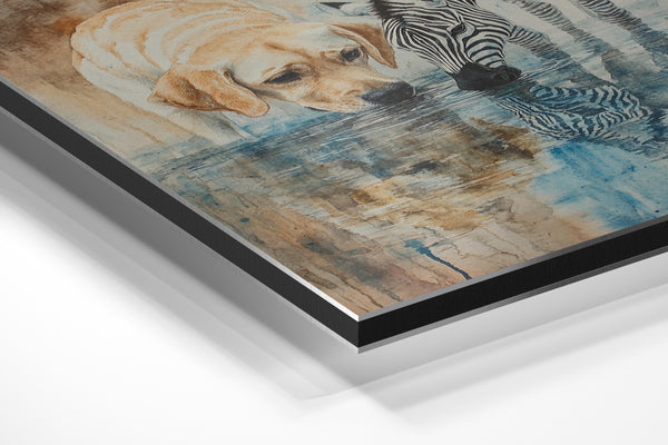 Labrador and Zebra at Water