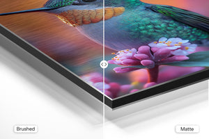 Vibrant Hummingbird and Bloom