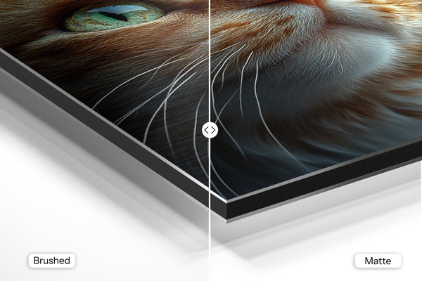 Cat with Golden Glow