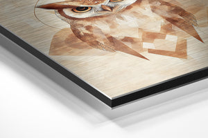 Geometric Owl Wisdom