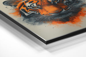 Tiger with Intense Gaze