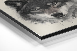 Wolf Stoic Portrait