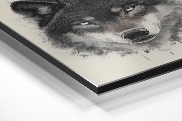 Wolf Stoic Portrait