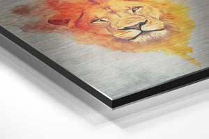 Lion Watercolor Blend