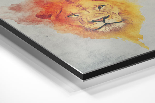 Lion Watercolor Blend