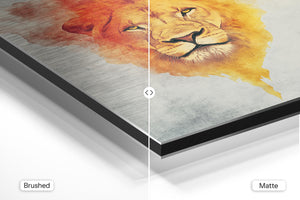 Lion Watercolor Blend