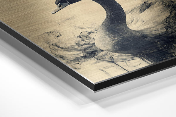 Swan in Abstract Motion