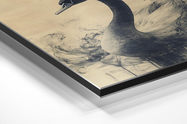 Swan in Abstract Motion