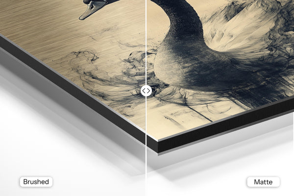 Swan in Abstract Motion