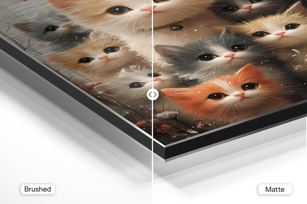 Kitten Family Portrait